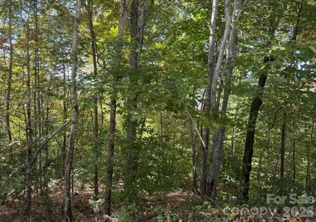 Photo 4 of Land for sale at 50 Scenic Wolf Ridge Rd, Mars Hill, NC 28754 | MLS# 4433342 | Listing updated on 2026-10-09
