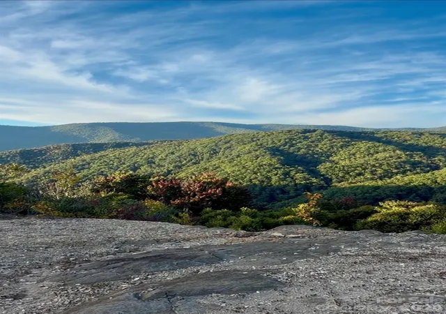 Photo 3 of Land for sale at Lot 42 Black Rock Crk Rd, Qualla, NC 28779 | MLS# 4433401 | Listing updated on 2026-10-14