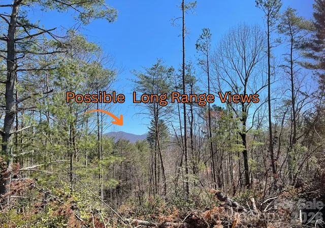 Photo 3 of Land for sale at 81 Union Chapel Rd, Weaverville, NC 28787 | MLS# 4433435 | Listing updated on 2026-10-10