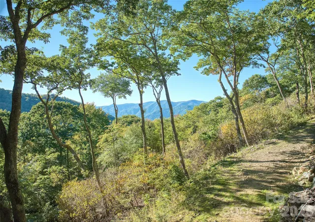 Photo 3 of Land for sale at 270 Olli Trl, Maggie Valley, NC 28751 | MLS# 4433453 | Listing updated on 2026-10-21