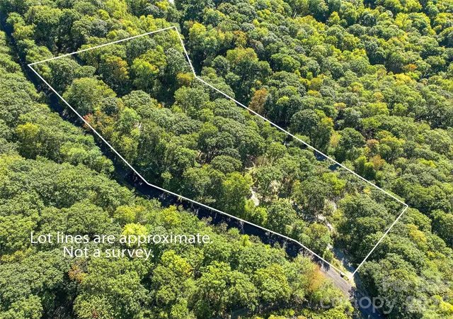 Photo 3 of Land for sale at 270 Olli Trl, Maggie Valley, NC 28751 | MLS# 4433453 | Listing updated on 2026-10-21