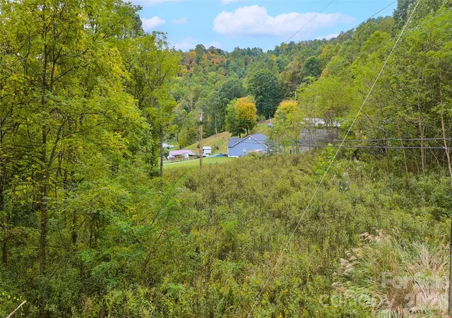 Photo 3 of Land for sale at 348 Chandler Crk Rd, Mars Hill, NC 28754 | MLS# 4433532 | Listing updated on 2026-10-14