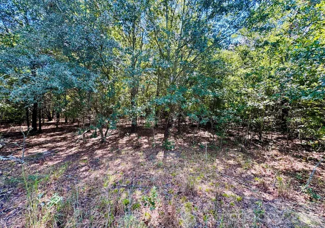 Photo 2 of Land for sale at Lot 167 Brangus Ln, Cheraw, SC 29520 | MLS# 4433573 | Listing updated on 2026-10-11