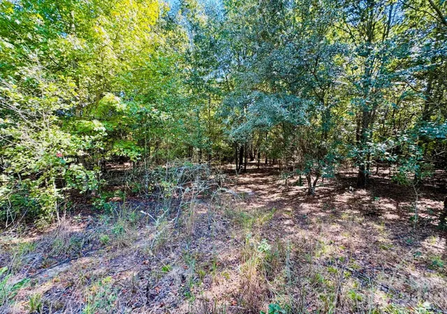 Photo 3 of Land for sale at Lot 167 Brangus Ln, Cheraw, SC 29520 | MLS# 4433573 | Listing updated on 2026-10-11