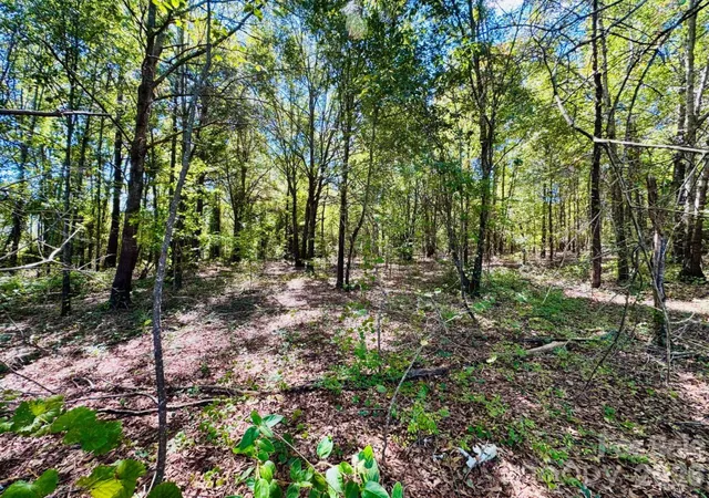 Photo 4 of Land for sale at Lot 167 Brangus Ln, Cheraw, SC 29520 | MLS# 4433573 | Listing updated on 2026-10-11