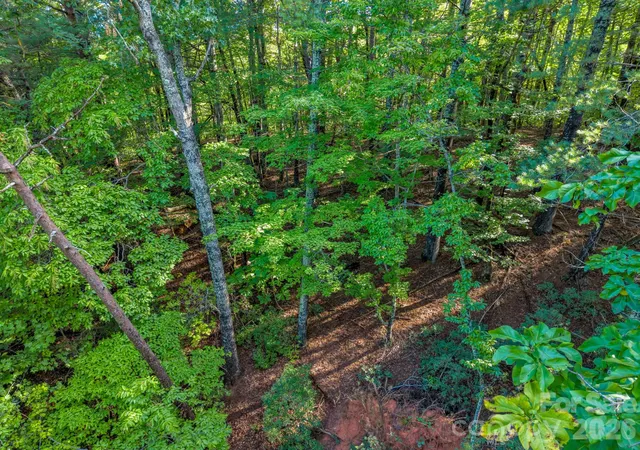 Photo 3 of Land for sale at 122 Bridgewater Dr #60 & 61, Marion, NC 28752 | MLS# 4433585 | Listing updated on 2026-10-11