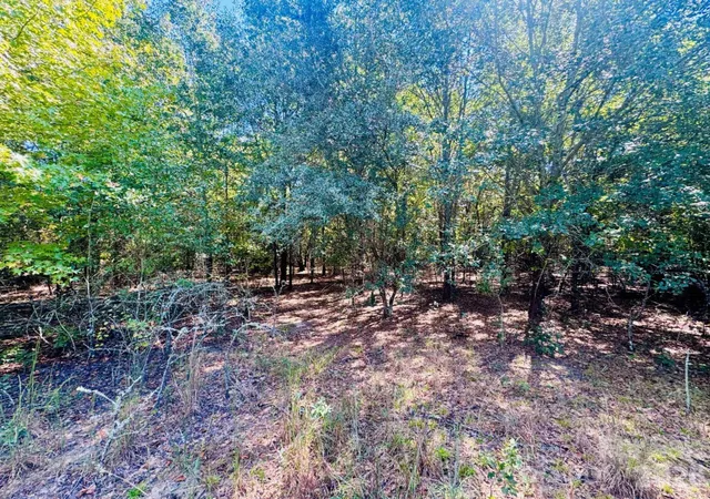 Photo 1 of Land for sale at Lot 166 Brangus Ln, Cheraw, SC 29520 | MLS# 4433610 | Listing updated on 2026-10-11