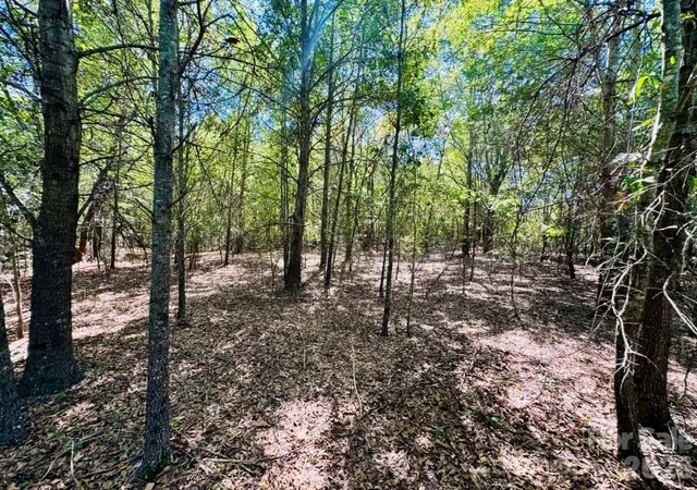 Photo 3 of Land for sale at Lot 166 Brangus Ln, Cheraw, SC 29520 | MLS# 4433610 | Listing updated on 2026-10-11