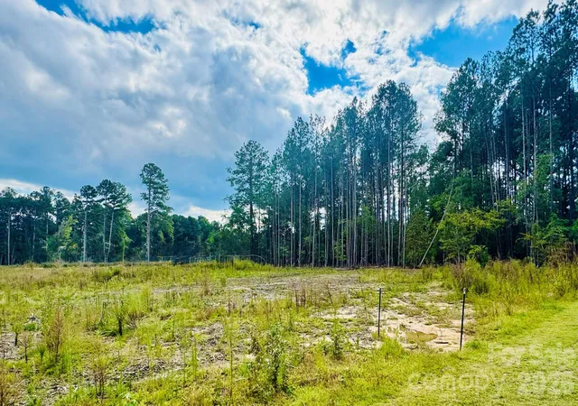 Photo 2 of Land for sale at 0000 State Rd, Cheraw, SC 29520 | MLS# 4433622 | Listing updated on 2026-10-12