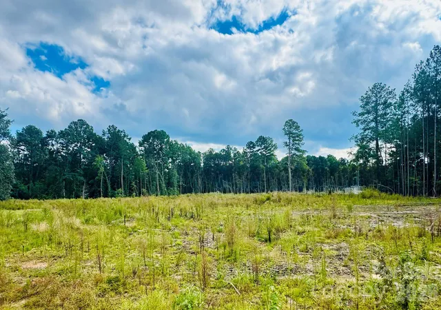 Photo 3 of Land for sale at 0000 State Rd, Cheraw, SC 29520 | MLS# 4433622 | Listing updated on 2026-10-12