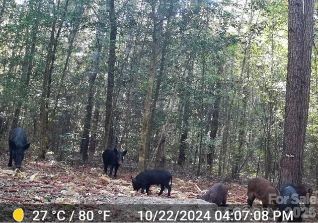 Photo 4 of Land for sale at 4079 Jefferson Davis Hwy, Bethune, SC 29009 | MLS# 4433888 | Listing updated on 2026-10-13