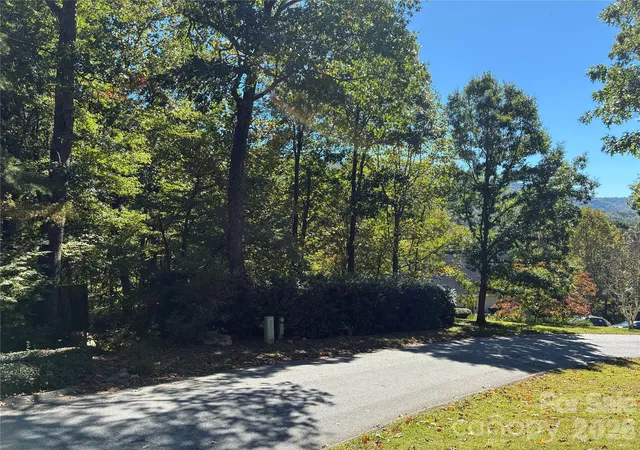 Photo 3 of Land for sale at 99999 Cliffview Dr, Asheville, NC 28803 | MLS# 4434019 | Listing updated on 2026-10-17