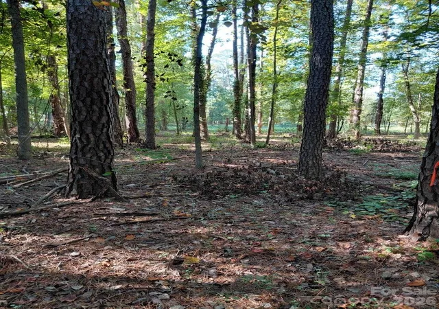 Photo 1 of Land for sale at 000 Nc Hwy 73, Huntersville, NC 28078 | MLS# 4434150 | Listing updated on 2026-10-14