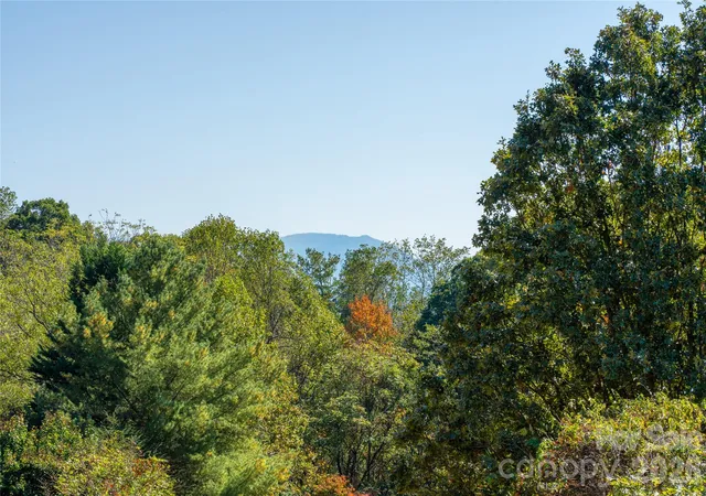Photo 1 of Single family home for sale at 117 Spivey Mountain Rd, Asheville, NC 28806 | MLS# 4434209 | Listing updated on 2026-10-29