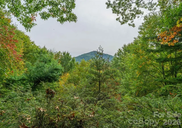 Photo 3 of Single family home for sale at 250 Creekside Dr, Maggie Valley, NC 28751 | MLS# 4434388 | Listing updated on 2026-10-15
