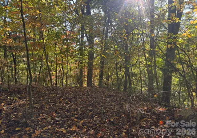 Photo 4 of Land for sale at 37 Timucua Trl, Waynesville, NC 28786 | MLS# 4434476 | Listing updated on 2026-10-27