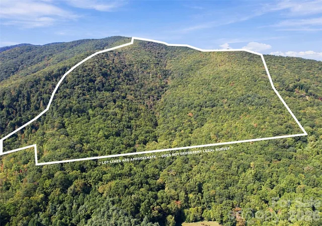 Land for sale at 00 Orion Davis Rd, Waynesville, NC 28786 | MLS# 4434526