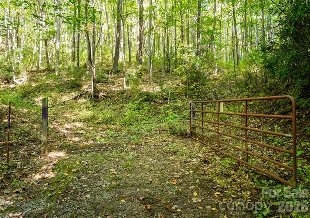 Photo 2 of Land for sale at 00 Orion Davis Rd, Waynesville, NC 28786 | MLS# 4434526 | Listing updated on 2026-10-19