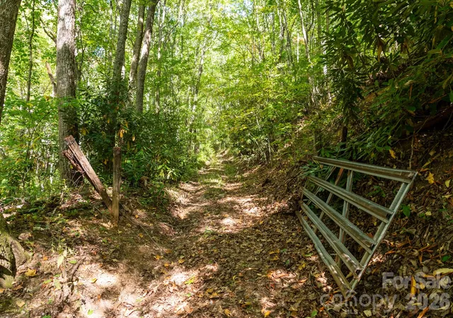 Photo 3 of Land for sale at 00 Orion Davis Rd, Waynesville, NC 28786 | MLS# 4434526 | Listing updated on 2026-10-19