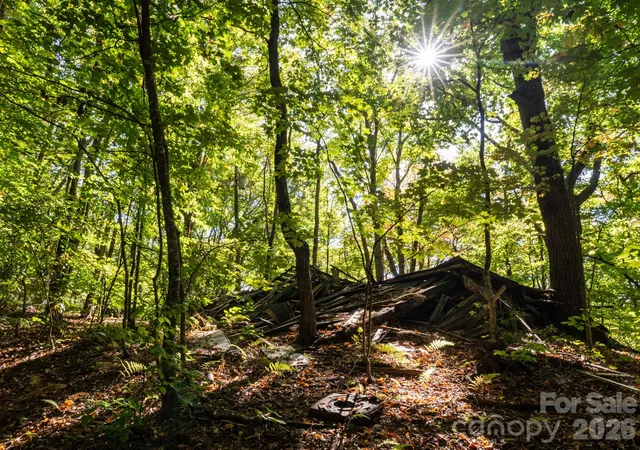 Photo 4 of Land for sale at 00 Orion Davis Rd, Waynesville, NC 28786 | MLS# 4434526 | Listing updated on 2026-10-19