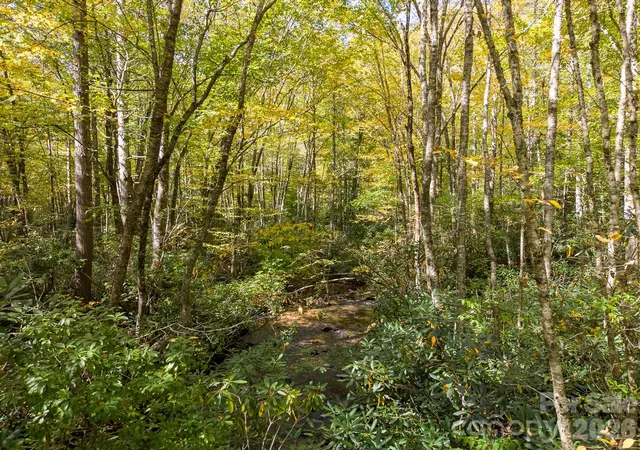 Photo 4 of Land for sale at 00 Little Snowbird Rd #57, Robbinsville, NC 28771 | MLS# 4434534 | Listing updated on 2026-10-19