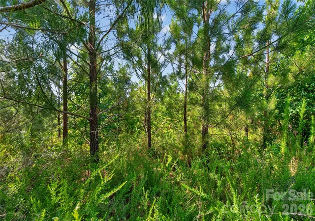 Photo 24 of Land for sale at 000 Blanton Rd #1, Sharon, SC 29742 | MLS# 4434714 | Listing updated on 2026-10-19
