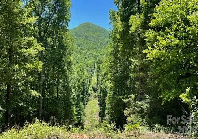 Photo 2 of Land for sale at 1629 White Rock Rd, Cullowhee, NC 28723 | MLS# 4434845 | Listing updated on 2026-10-18