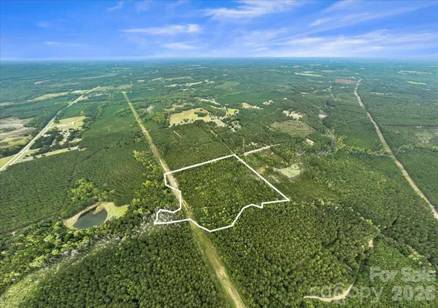 Photo 1 of Land for sale at 0000 Mcduffie Ln, Cheraw, SC 29520 | MLS# 4434868 | Listing updated on 2026-10-15