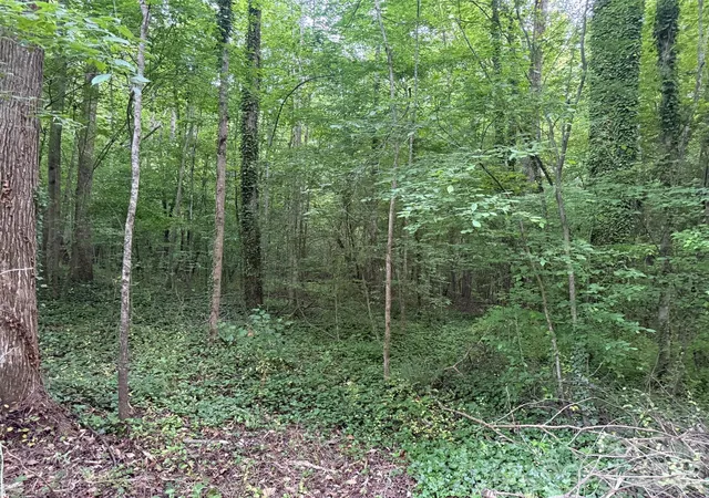Photo 1 of Land for sale at 00 Winterhaven Rd #4, Taylorsville, NC 28681 | MLS# 4435344 | Listing updated on 2026-10-16