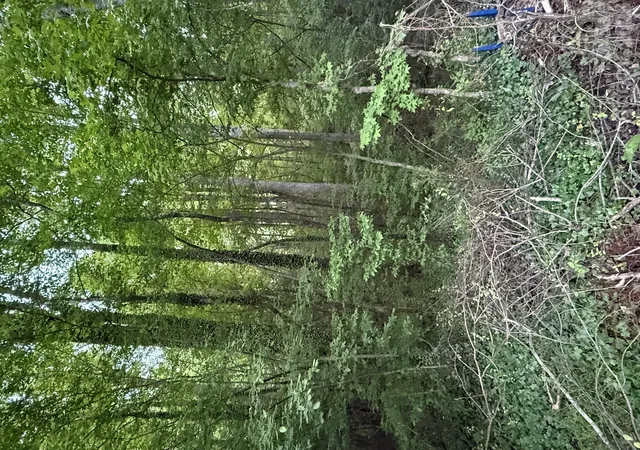 Photo 4 of Land for sale at 00 Winterhaven Rd #4, Taylorsville, NC 28681 | MLS# 4435344 | Listing updated on 2026-10-16