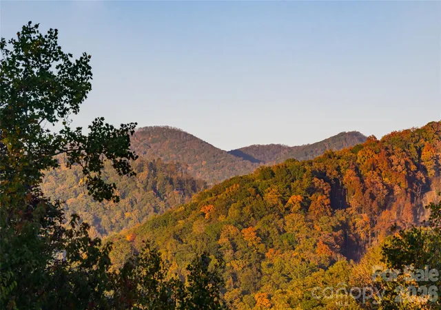 Photo 4 of Single family home for sale at 125 Carolina Lily Ln, Asheville, NC 28804 | MLS# 4435348 | Listing updated on 2026-10-30