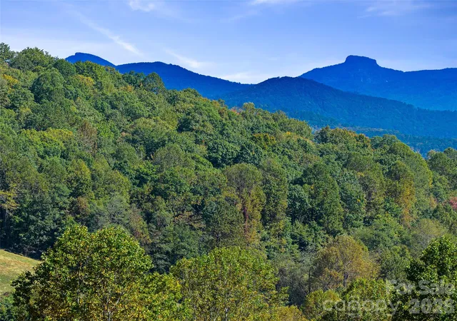 Land for sale at Tbd Chestnut Grv Rd, Spruce Pine, NC 28777 | MLS# 4435613