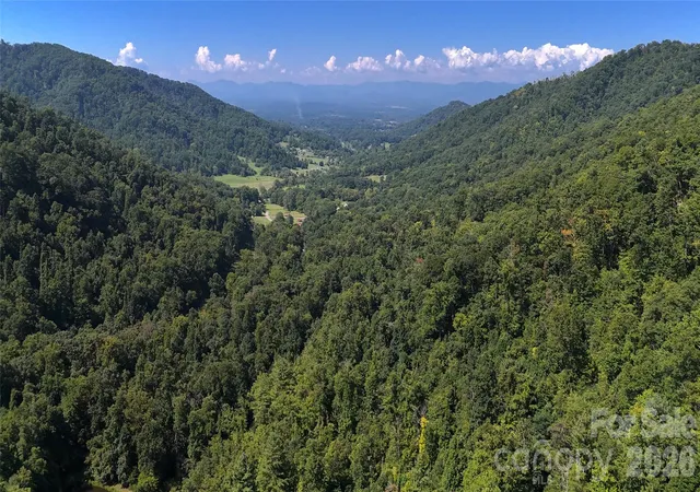 Land for sale at 300 ± Acres Upper Flt Crk Rd, Weaverville, NC 28787 | MLS# 4435764