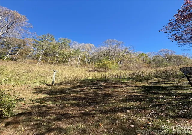 Photo 3 of Single family home for sale at 338 Sweet Crk Rd, Bakersville, NC 28705 | MLS# 4436094 | Listing updated on 2026-10-20