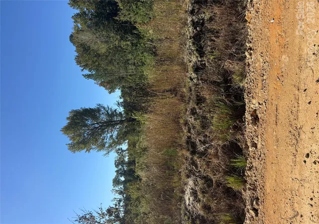 Photo 1 of Land for sale at Tbd Rock House Rd, Mount Croghan, SC 29727 | MLS# 4436123 | Listing updated on 2026-10-21