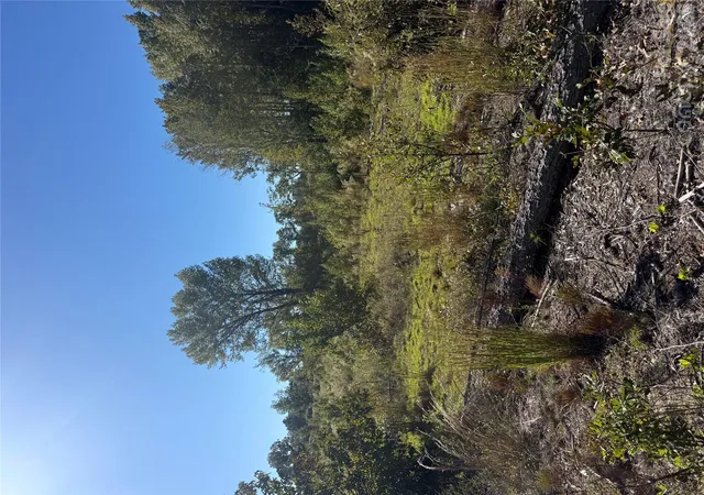 Photo 2 of Land for sale at Tbd Rock House Rd, Mount Croghan, SC 29727 | MLS# 4436123 | Listing updated on 2026-10-21