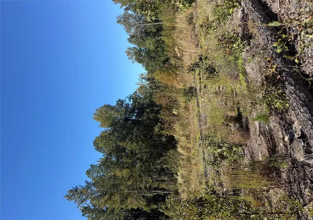 Photo 3 of Land for sale at Tbd Rock House Rd, Mount Croghan, SC 29727 | MLS# 4436123 | Listing updated on 2026-10-21