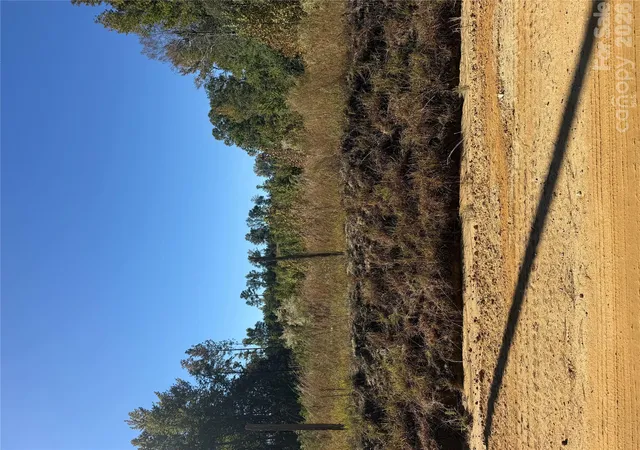 Photo 4 of Land for sale at Tbd Rock House Rd, Mount Croghan, SC 29727 | MLS# 4436123 | Listing updated on 2026-10-21