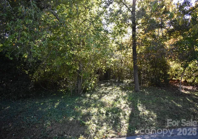 Photo 4 of Land for sale at 0 Fernwood Dr #16, Rutherfordton, NC 28139 | MLS# 4436506 | Listing updated on 2026-10-22