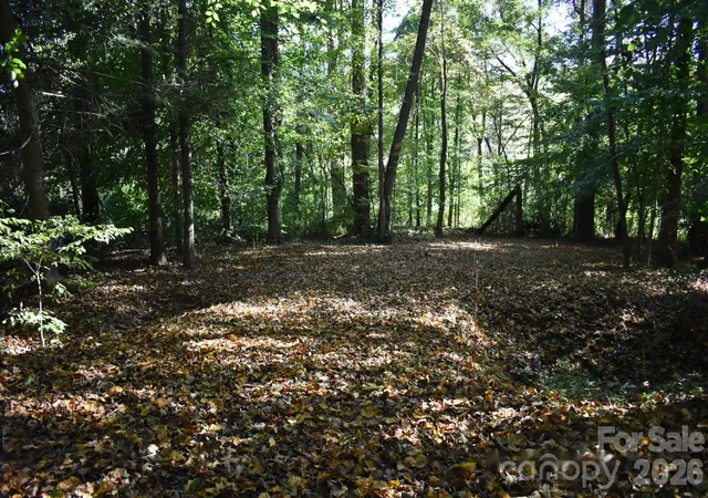 Land for sale at 0 General Griffith Cir #29, Rutherfordton, NC 28139 | MLS# 4436537