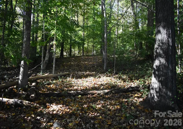 Photo 2 of Land for sale at 0 General Griffith Cir #29, Rutherfordton, NC 28139 | MLS# 4436537 | Listing updated on 2026-10-22
