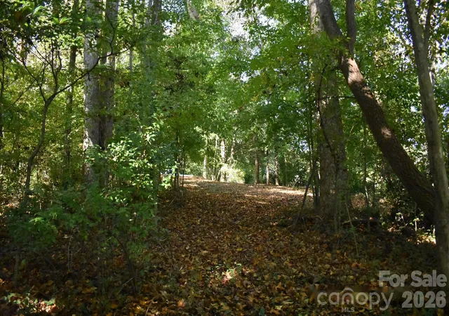 Photo 3 of Land for sale at 0 General Griffith Cir #29, Rutherfordton, NC 28139 | MLS# 4436537 | Listing updated on 2026-10-22