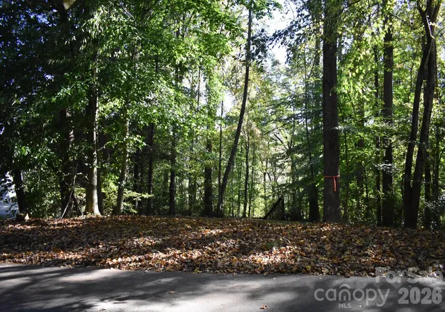Photo 4 of Land for sale at 0 General Griffith Cir #29, Rutherfordton, NC 28139 | MLS# 4436537 | Listing updated on 2026-10-22