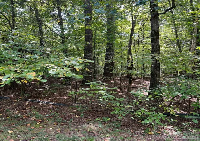 Photo 1 of Land for sale at Tbd Sanctuary Ln, Lilesville, NC 28091 | MLS# 4436567 | Listing updated on 2026-10-23