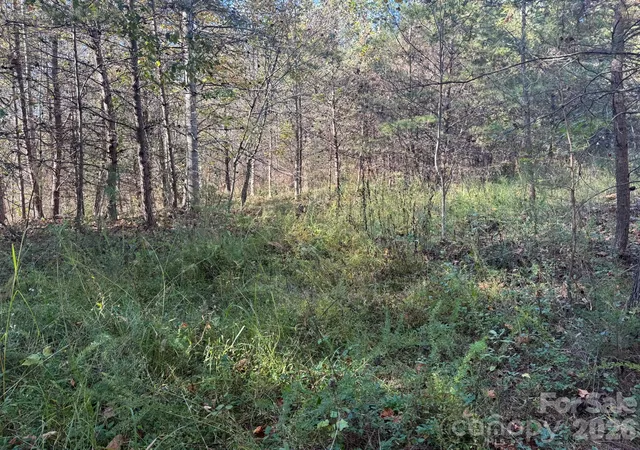 Photo 4 of Land for sale at V/l Wild Ridges Ln, Marion, NC 28752 | MLS# 4437365 | Listing updated on 2026-10-27
