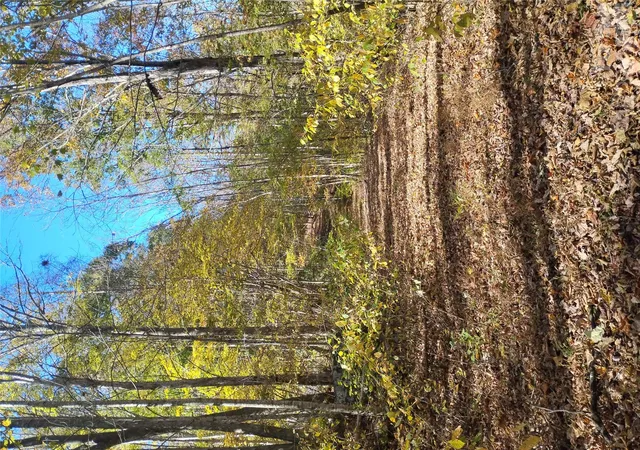 Photo 1 of Land for sale at 000 Dora Ln, Bakersville, NC 28705 | MLS# 4437442 | Listing updated on 2026-10-26