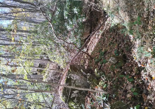 Photo 3 of Land for sale at 000 Dora Ln, Bakersville, NC 28705 | MLS# 4437442 | Listing updated on 2026-10-26