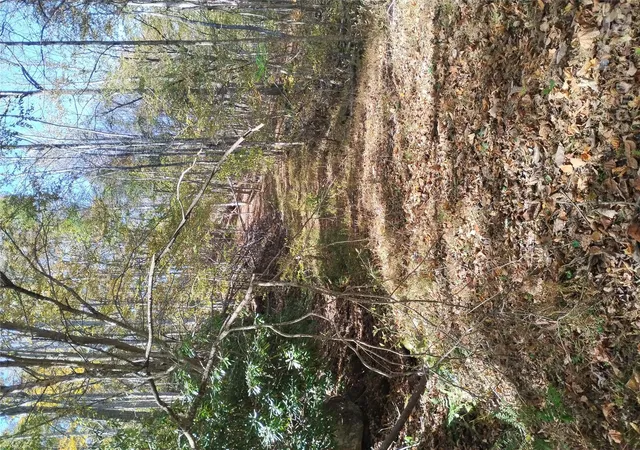Photo 4 of Land for sale at 000 Dora Ln, Bakersville, NC 28705 | MLS# 4437442 | Listing updated on 2026-10-26