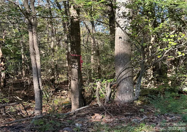 Photo 3 of Land for sale at 1136 Joe Louis Blvd, Rock Hill, SC 29730 | MLS# 4437496 | Listing updated on 2026-10-28