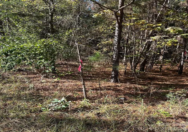 Photo 3 of Land for sale at 1136 Joe Louis Blvd, Rock Hill, SC 29730 | MLS# 4437496 | Listing updated on 2026-10-28